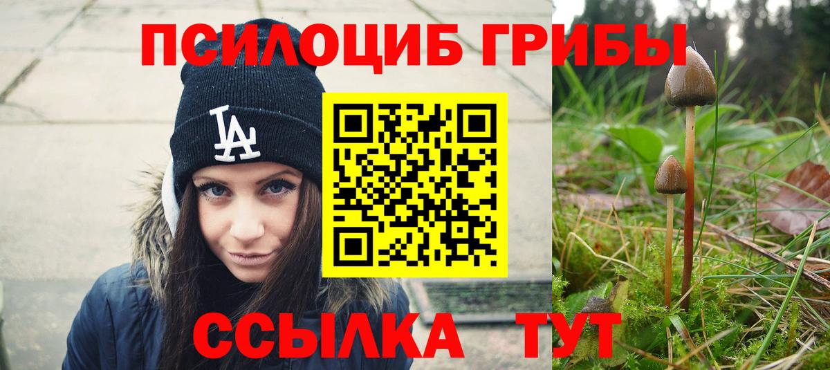 Галлюциногенные грибы MAGIC MUSHROOMS Кузнецк